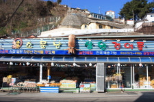 31건어물