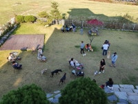 PTP 애견테마파크