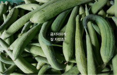 농업회사법인 황가네농장