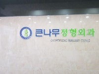 큰나무정형외과의원