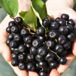 농업회사법인 황가네농장