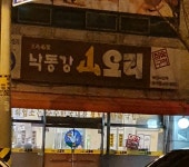 낙동강산오리 봉곡점