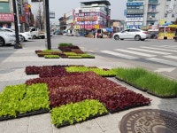 삼성종묘가평농산