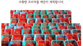 오복팜