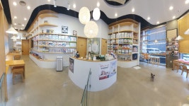 이진수고양이병원