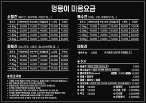 솔펫살롱