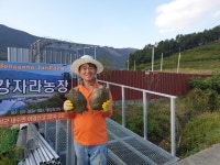 봉강자라팜 자라농장