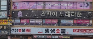 스카이노래타운노래방