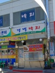 갯벌낙지