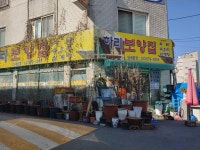 하리보양집
