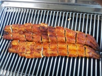 풍천장어와부산꼼장어