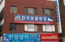 한국동물병원