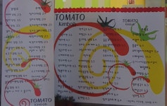 토마토김밥 등촌2호점