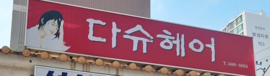다슈헤어