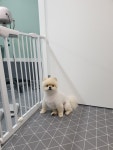 배츄네펫살롱