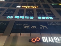 페테리안 동물병원