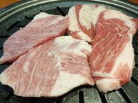 한라산도새기