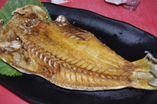 한라산도새기