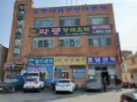 와룡