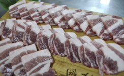 한라산도새기