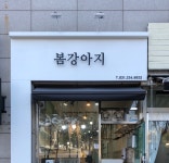 봄강아지