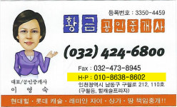 황금 공인중개사사무소