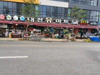 대전유마트
