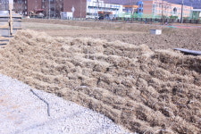 서해꽃조경잔디농장