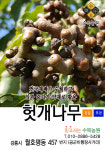 수목농원