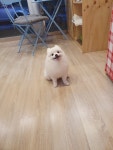 그루멍프렌즈