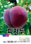 수목농원