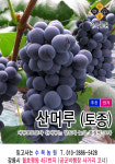 수목농원
