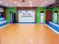 용인대국가대표태권도