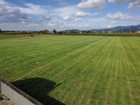 서해꽃조경잔디농장