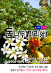 수목농원