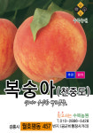수목농원