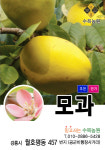수목농원