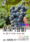 수목농원