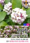 수목농원