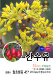 수목농원