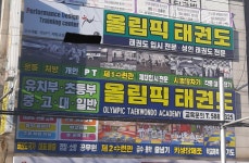 올림픽태권도