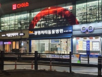 광명시티동물병원
