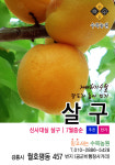 수목농원