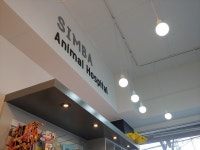 심바동물병원