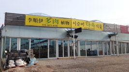 이순이다육식물