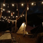 황금박쥐캠핑장