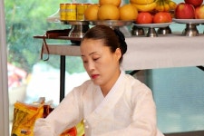 이화꽃대신