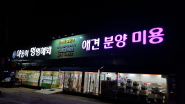 야옹아멍멍해봐 원주 명륜점