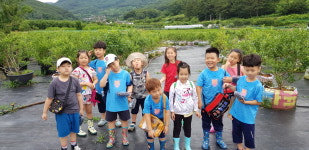 무룡합기도