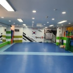 계명대수태권도